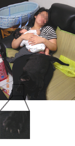 酷樂趴大腿-4.gif