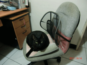 chair-4.gif