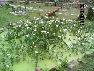 280310_113644.jpg