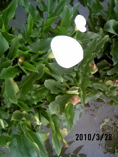 280310_114229.JPG