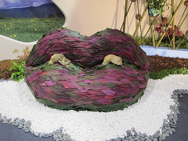 IMG_0216.JPG