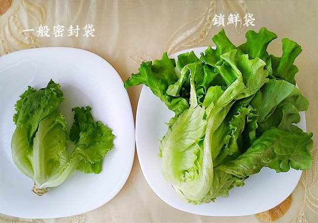 鎖鮮袋5.jpg