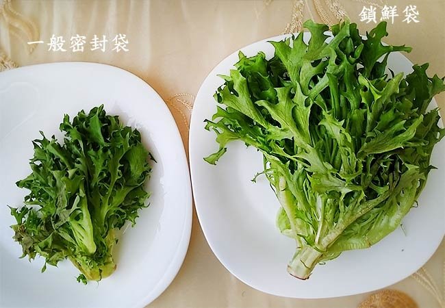 鎖鮮袋6.jpg