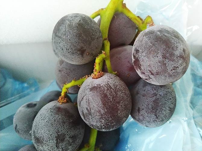 菓寳食4.jpg