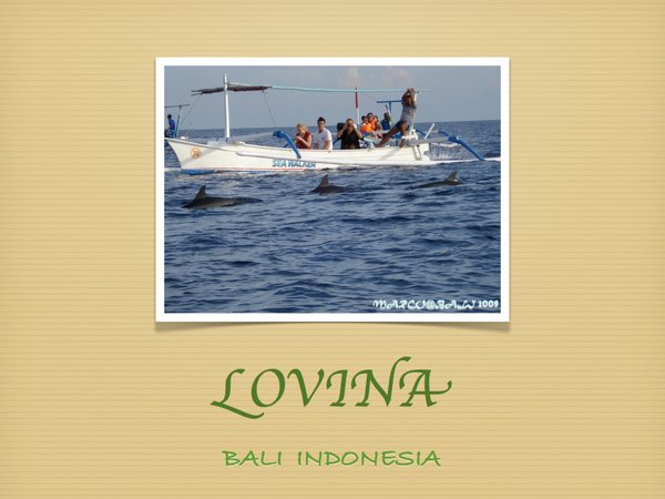 lovina.001.jpg