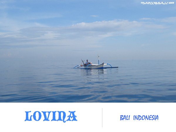 lovina.002.jpg