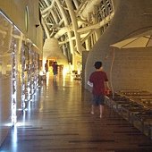 20150824_195113_HDR
