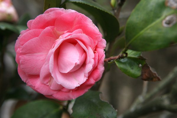 IMG_9648.JPG