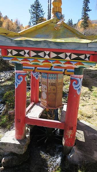 IMG_1477.JPG