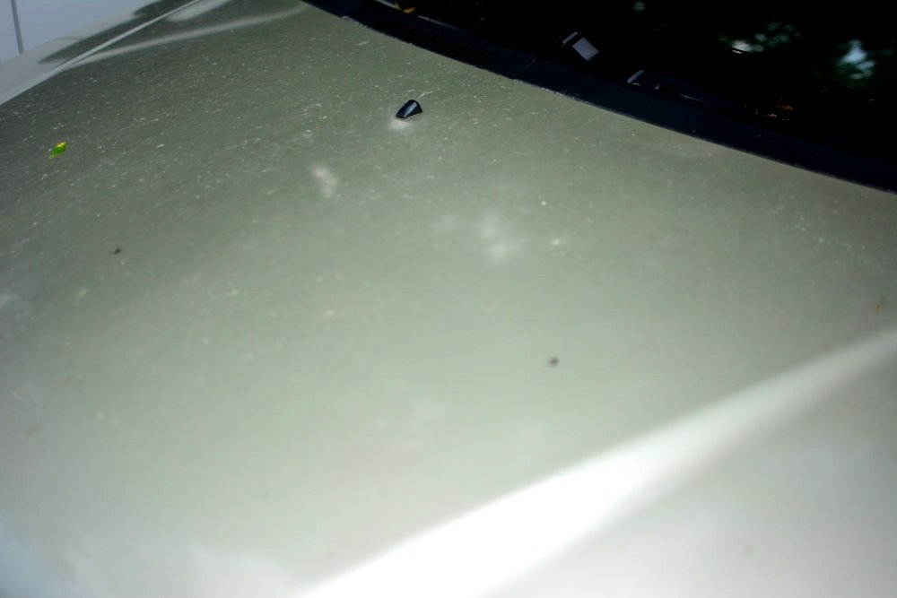 汽車精品百貨推薦~愛車褓母Auto Care 魔黏光滑漆面組