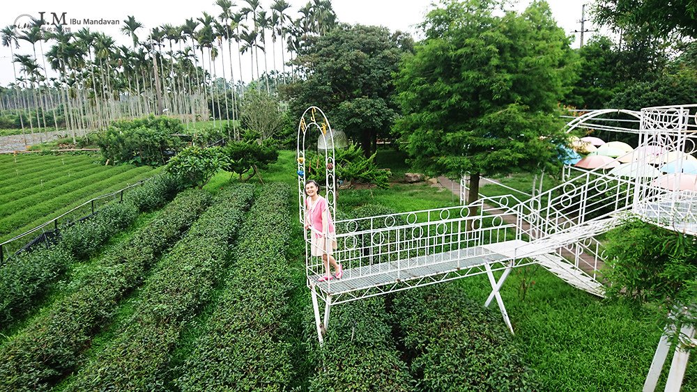 【南投景點推薦】茶二指故事館 茶葉愛好者必去~春秋茶事繽紛水