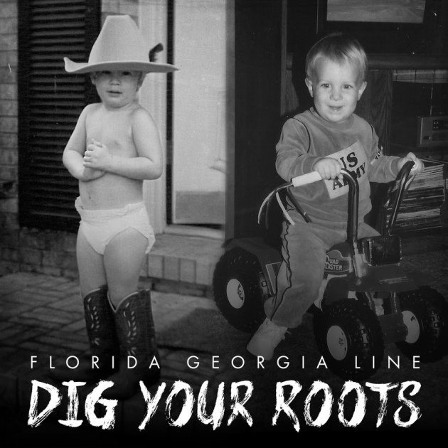 Florida Georgia Line Dig Your Roots.jpg