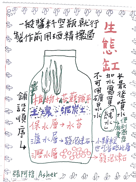 造小森林