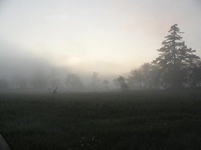 1343545401.jpg