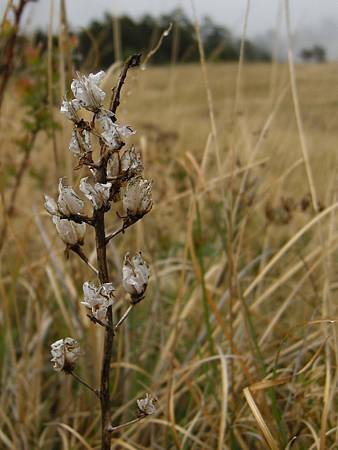 DSCN5227.JPG