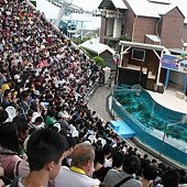IMG_0564.JPG