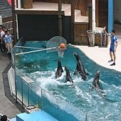 IMG_0614.JPG