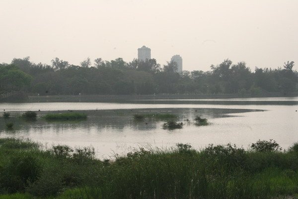 IMG_0913.JPG