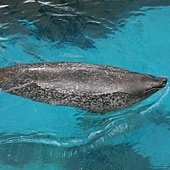IMG_0739.JPG