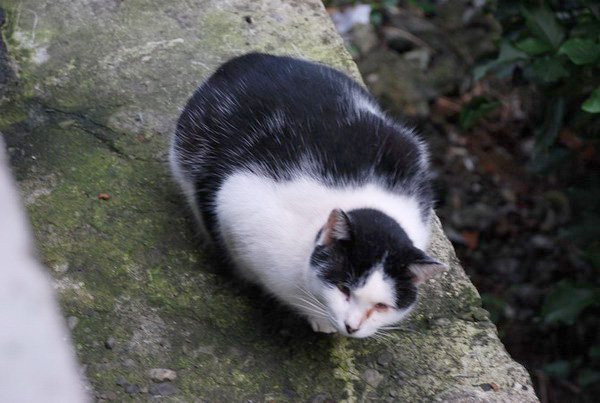 DSC_4643.JPG