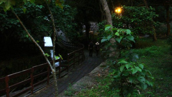 DSC08256.JPG