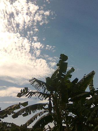 20140617天空-3