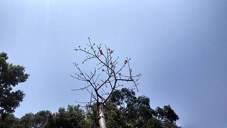 IMG_20180325_105505_HDR