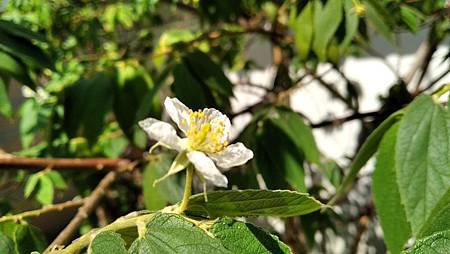 IMG_20180918_100154