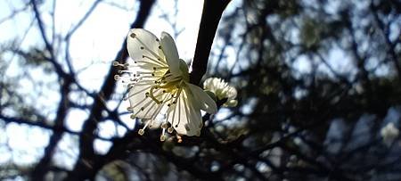 【餘命日記】痛苦與無聊