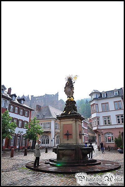 DSC_3638.jpg
