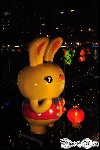 DSC_2227.jpg