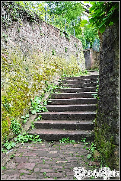 DSC_3703.jpg