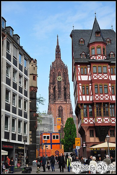 DSC_3542.jpg