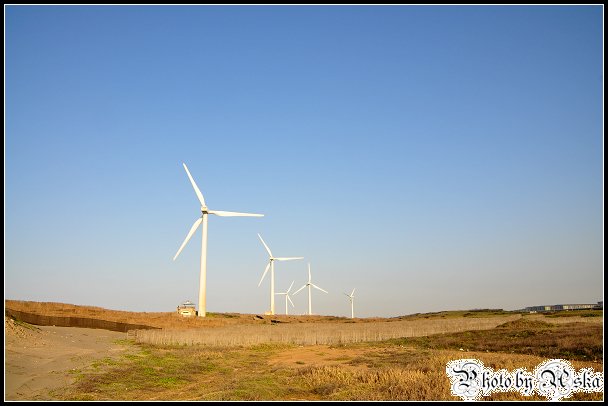 DSC_0059.jpg