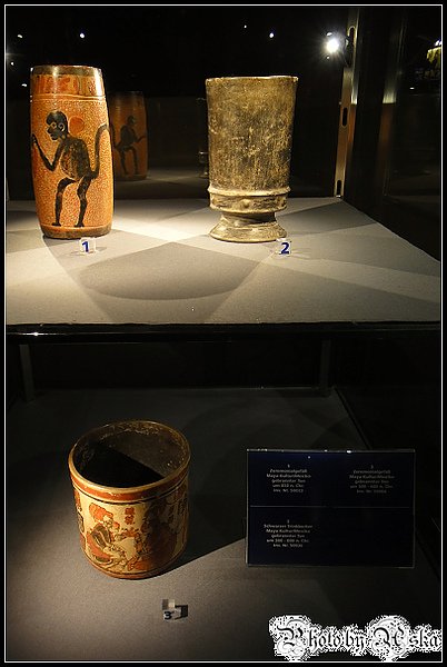 DSC00494.jpg