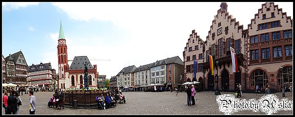 DSC00295.jpg