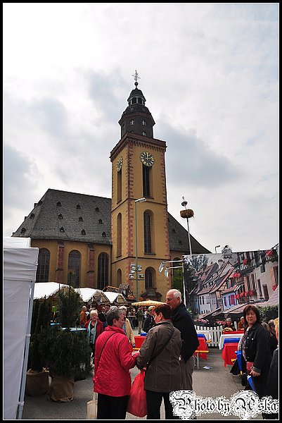 DSC_3470.jpg