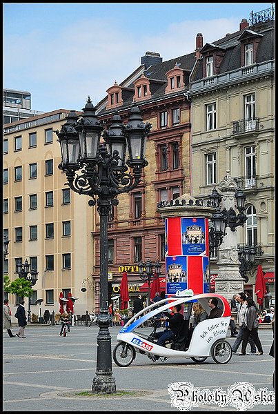 DSC_3521.jpg