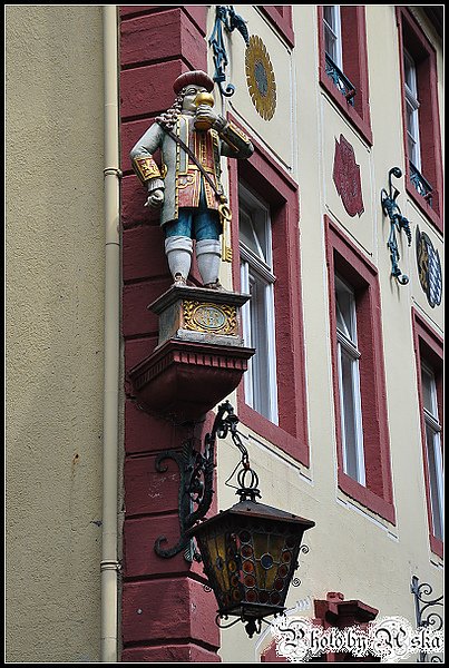 DSC_3754.jpg