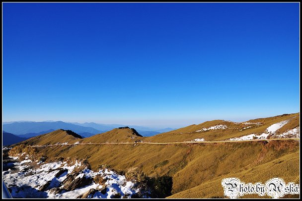 DSC_0617.jpg