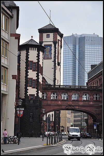 DSC_3562.jpg