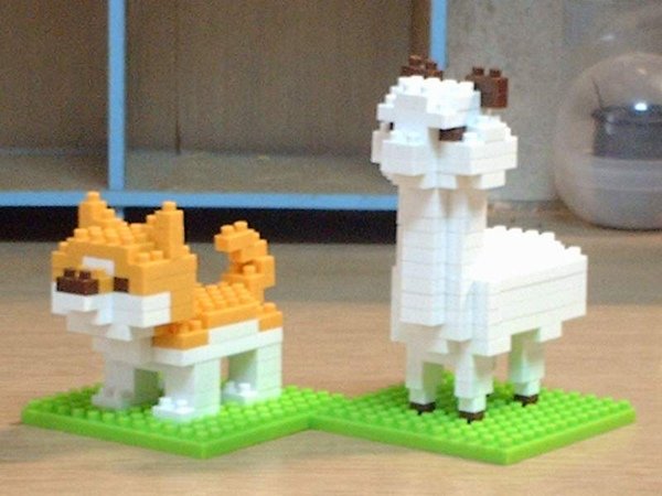 柴犬與草泥馬