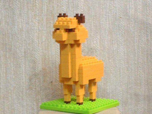 咖哩馬