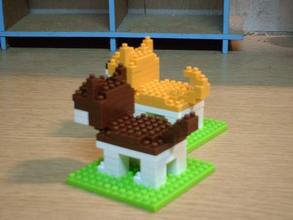 柴犬與棕色柴犬