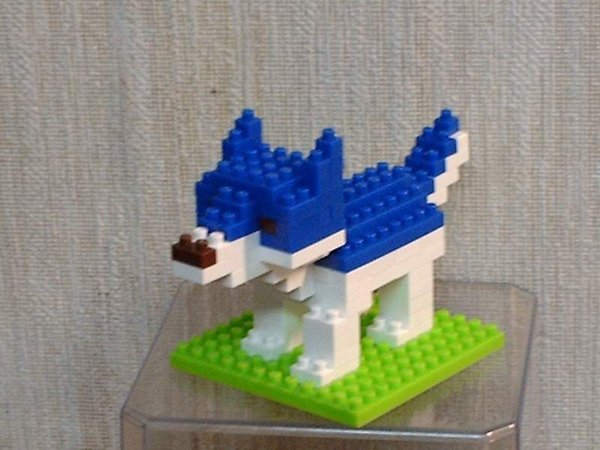 大野狼