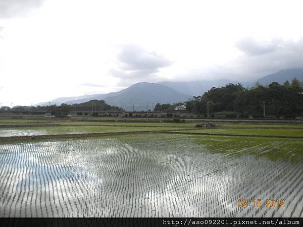 2014111305水田與山巒
