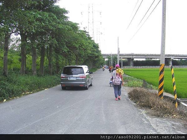 2015053120濁水溪旁林蔭大道