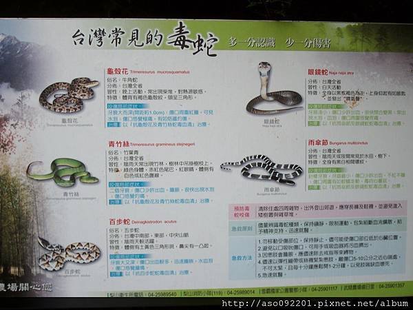 2015101808毒蛇