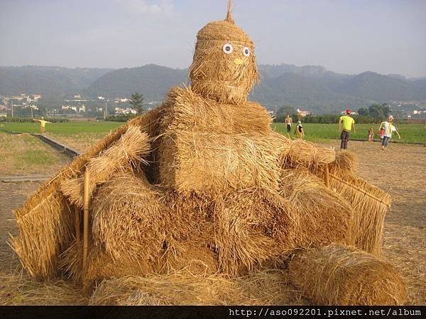 2015120850中州創意稻草人