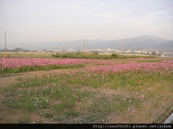 2015120885花海